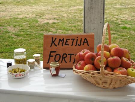 Regijska prireditev ob slovenskem Tednu boja proti raku »Evropski kodeks = manj raka« 7